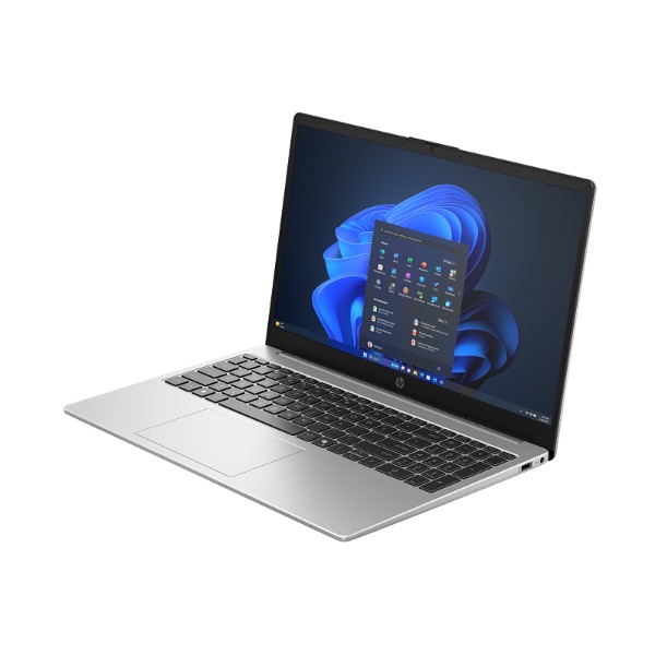 Фото - Ноутбук HP 255R G10 (D4VF1ET) Turbo Silver