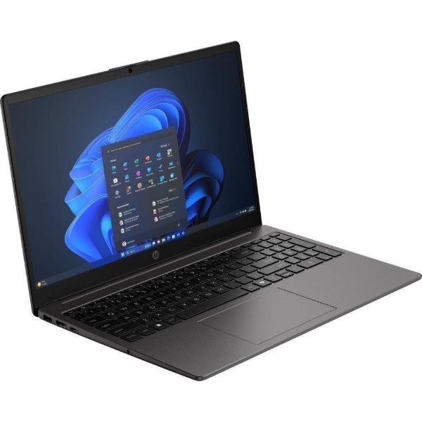 Фото - Ноутбук HP 255R G10 (D4VF9ET) Dark Ash Silver