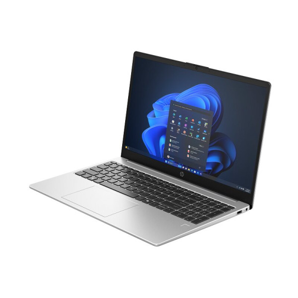 Фото - Ноутбук HP 250R-G10 (B9YP0ET) Silver