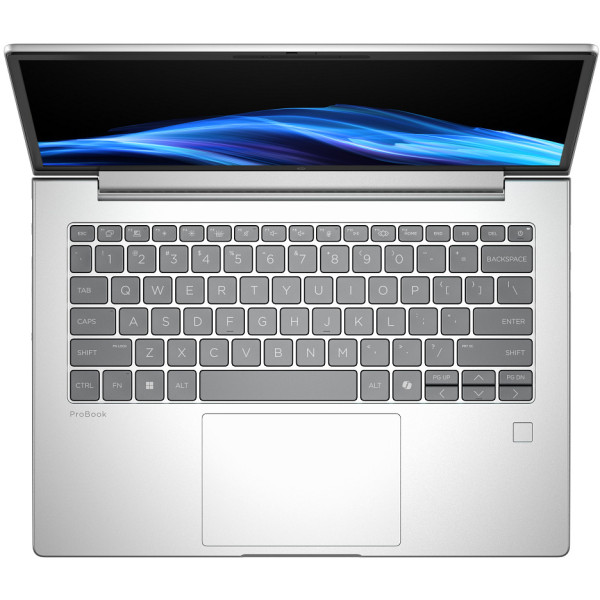Фото - Ноутбук HP ProBook 4-G1i (C44YTET) Pike Silver