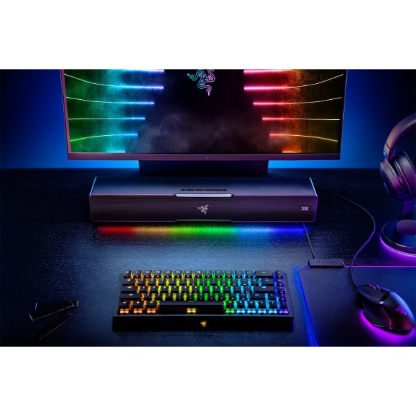 Фото - Мікропошкодження - Комп'ютерна акустика 5.1 Razer Leviathan V2 (RZ05-03920100-R3G1)