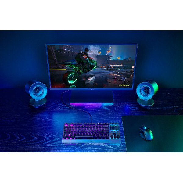 Фото - Комп'ютерна акустика компактна 2.0 Razer Nommo V2 X (RZ05-04760100-R3G1)