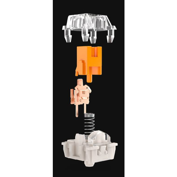 Фото - Набір перемикачів для клавіатури Razer Mechanical Switches Pack, Orange Tactile switch (RC21-02040300-R3M1)