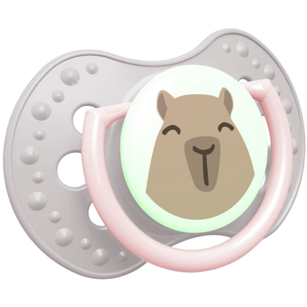 Фото - Динамічна пустушка Lovi 6-18 м-ців 2 шт. CapiChill - рожева (22/933girl)