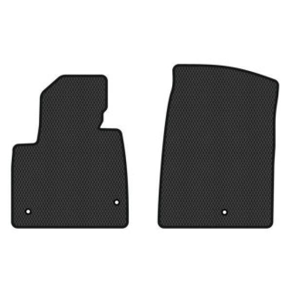 Фото - EVA килимки в салон авто передні EVAtech для Grand Santa FE (NC) 7 seats Hyundai 2012-2017 3 покоління SUV USA HY1307AB2KH3RBB