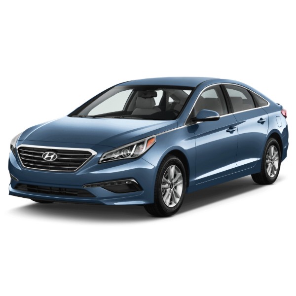 Фото - Килимки з екошкіри в салон авто EVAtech ECO для Sonata (LF) (5 clips) Hyundai 2014-2019 7 покоління Sedan USA (HY1510PGR4KH5BBB)