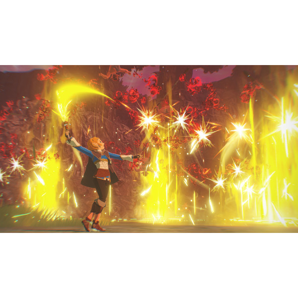 Фото - Ігровий картридж Nintendo Hyrule Warriors: Age of Imprisonment [Nintendo Switch 2]