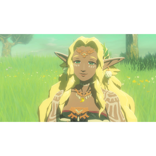 Фото - Ігровий картридж Nintendo Hyrule Warriors: Age of Imprisonment [Nintendo Switch 2]