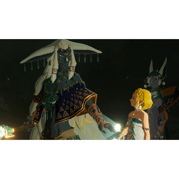 Фото - Ігровий картридж Nintendo Hyrule Warriors: Age of Imprisonment [Nintendo Switch 2]