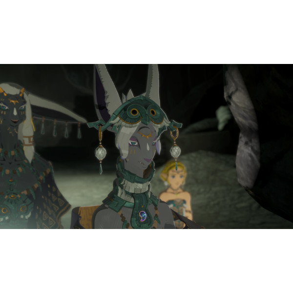 Фото - Ігровий картридж Nintendo Hyrule Warriors: Age of Imprisonment [Nintendo Switch 2]