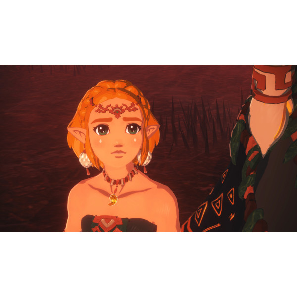 Фото - Ігровий картридж Nintendo Hyrule Warriors: Age of Imprisonment [Nintendo Switch 2]