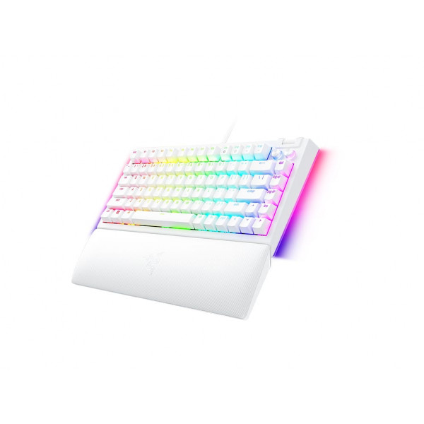 Фото - Клавіатура дротова ігрова Razer BlackWidow V4 75% White (RZ03-05001700-R3M1)