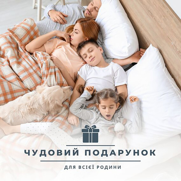 Фото - Ковдра всесезонна двоспальна євро IDEIA ДобраНіч 200х220 см антиалергійна (8-35579*001)