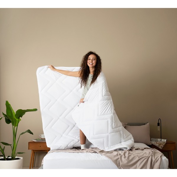 Фото - Одеяло всесезонное двуспальное IDEIA NORDIC COMFORT 175х210 см антиаллергическая (8-34650*001)
