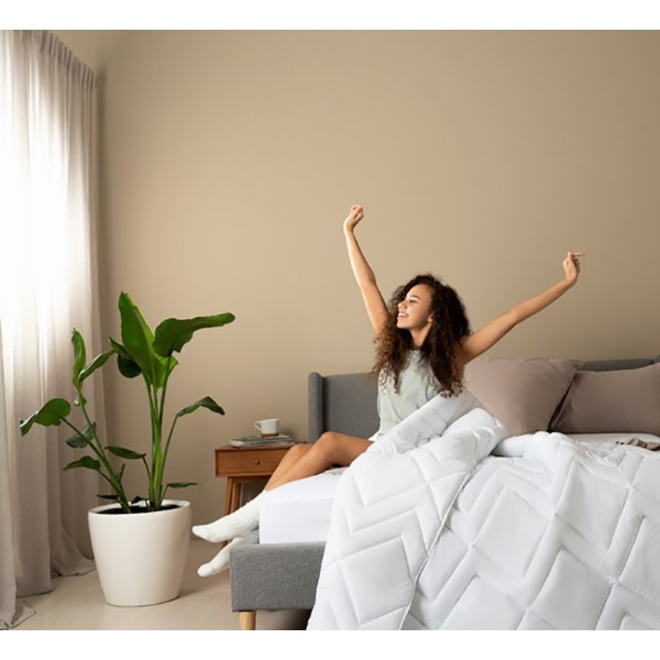 Фото - Одеяло всесезонное двуспальное IDEIA NORDIC COMFORT 175х210 см антиаллергическая (8-34650*001)