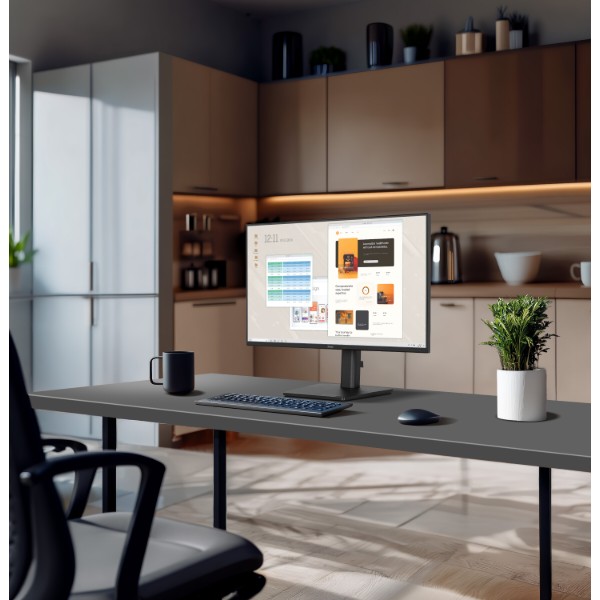 Фото - Монитор IIYAMA ProLite XB2491H-B1