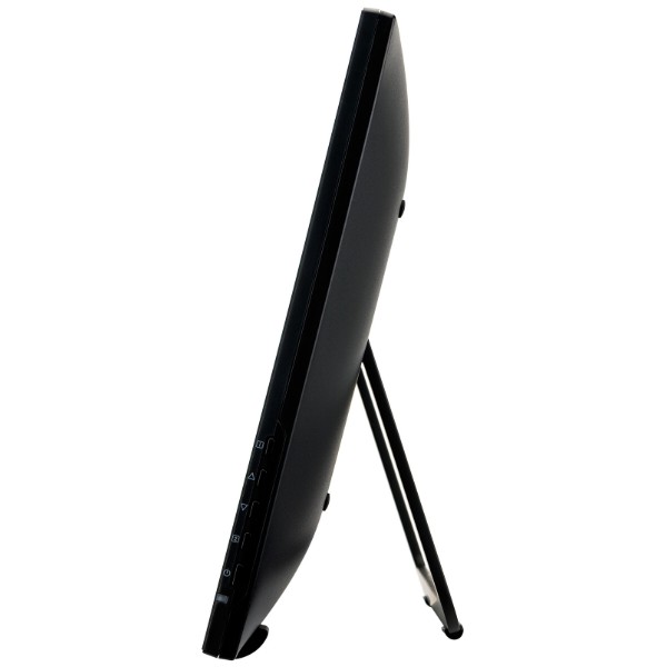 Фото - Интерактивная панель IIYAMA T2455MSC-B2