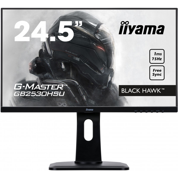 Фото - Монітор IIYAMA GB2530HSU-B1