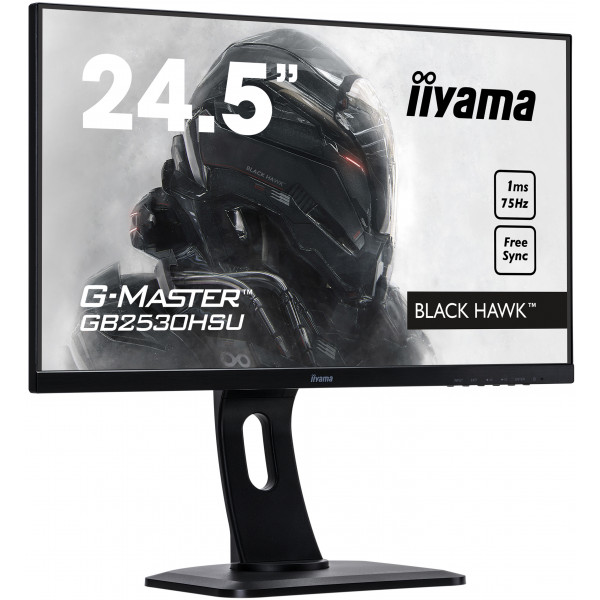 Фото - Монітор IIYAMA GB2530HSU-B1