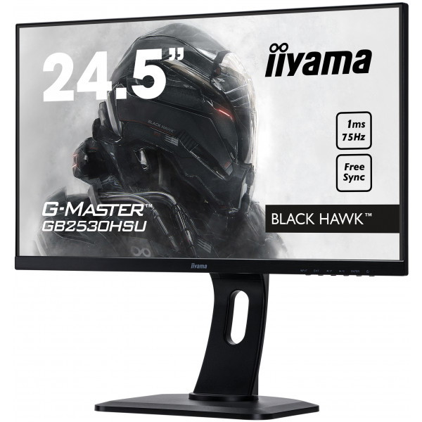 Фото - Монітор IIYAMA GB2530HSU-B1