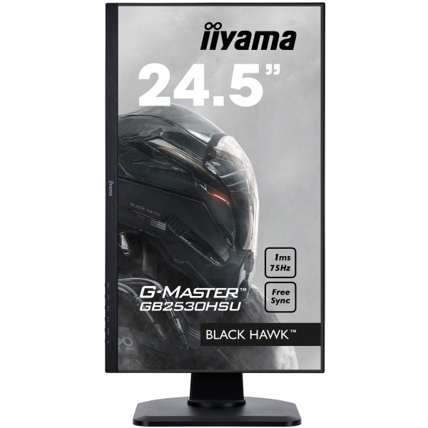 Фото - Монітор IIYAMA GB2530HSU-B1