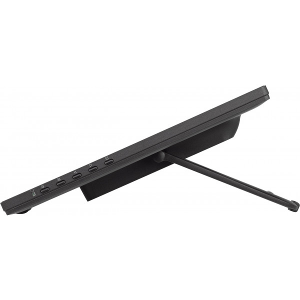 Фото - Монітор IIYAMA T2455MSC-B1