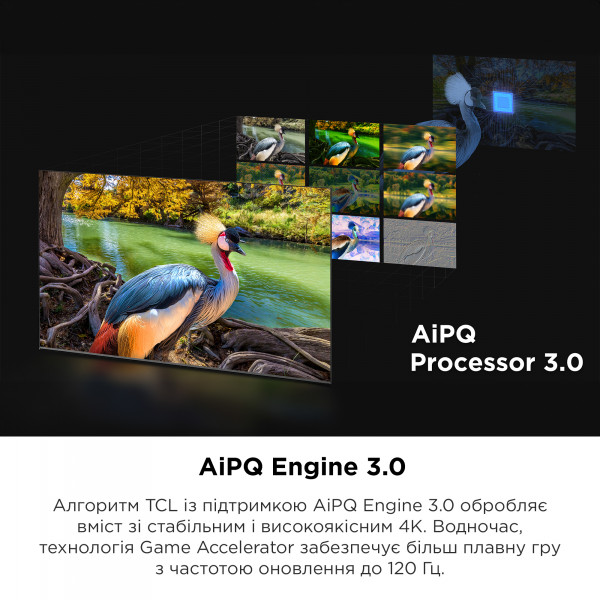 Фото - Телевізор TCL 65C645