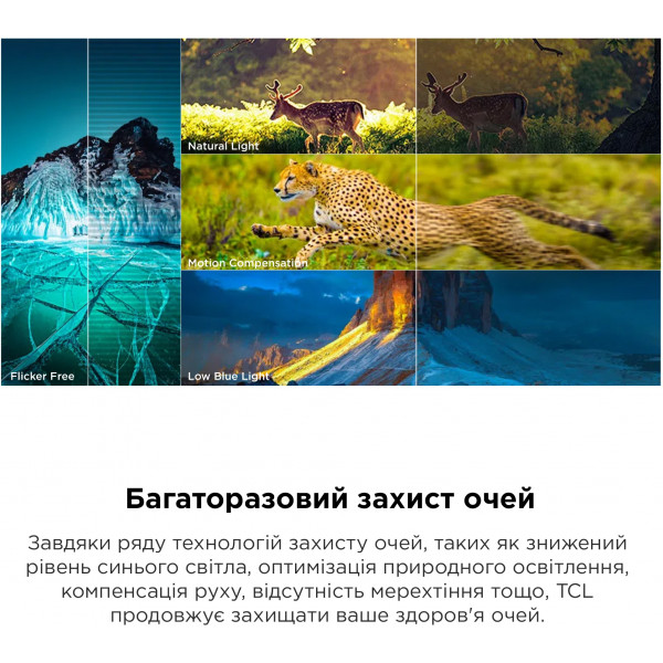 Фото - Телевізор TCL 55P755