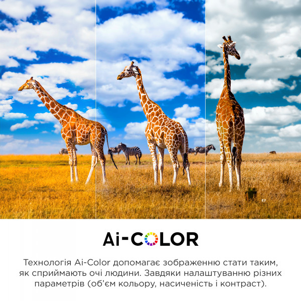 Фото - Телевізор TCL 65C645