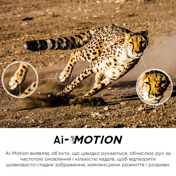 Фото - Телевізор TCL 65C645