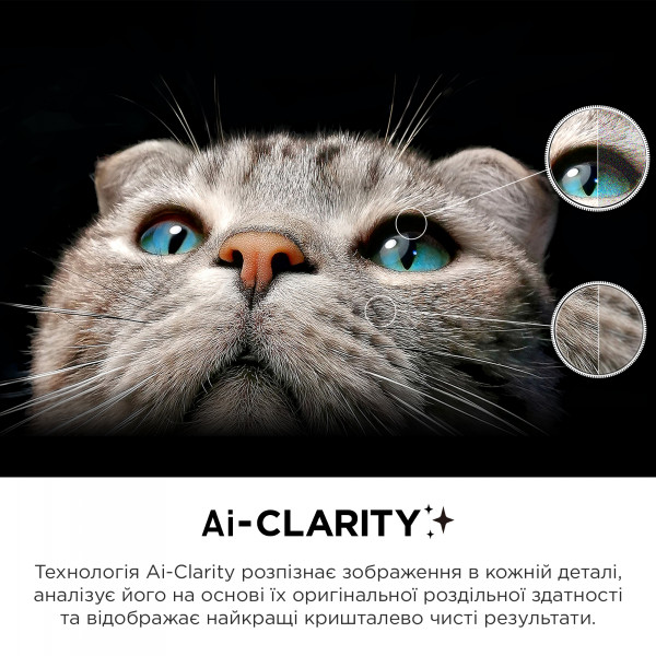 Фото - Телевізор TCL 65C645