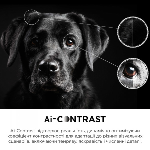 Фото - Телевізор TCL 65C645