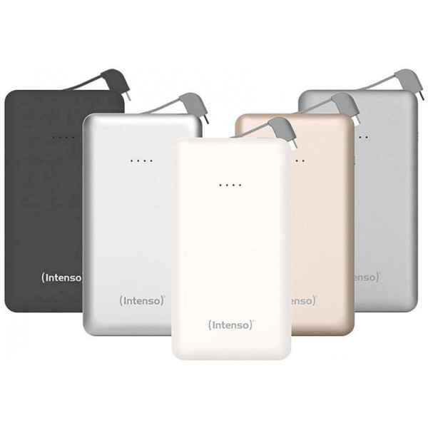 Фото - Батарея мобільна Intenso Powerbank S10000 10000mAh Silver