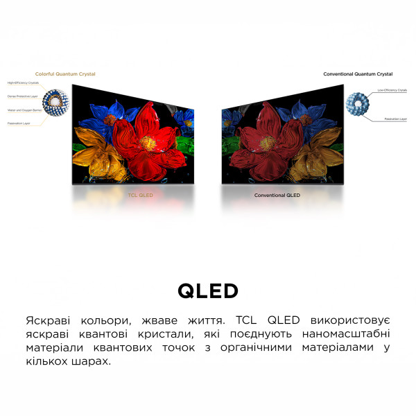 Фото - Телевизор TCL 40S5K