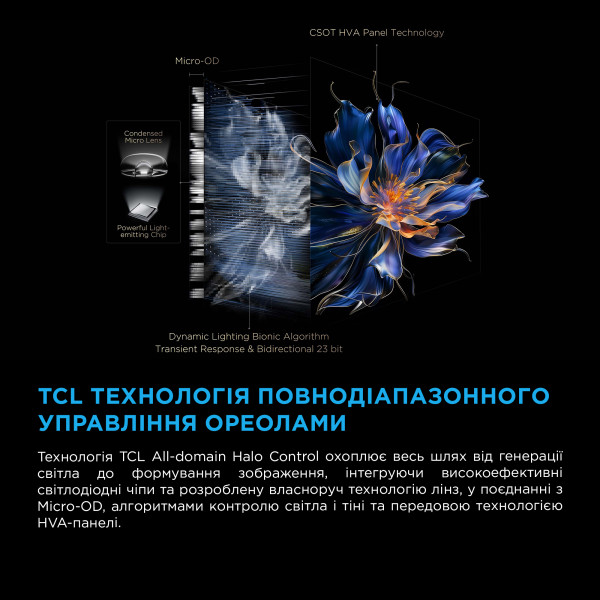 Фото - Телевізор TCL 65C6K