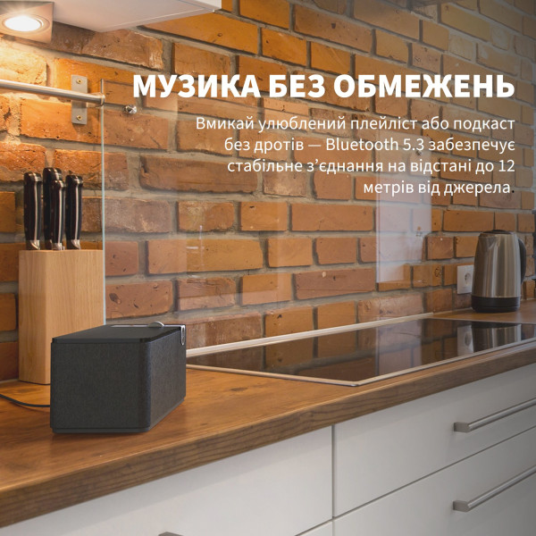 Фото - Портативна акустика Klipsch The One Plus Matt Black (1071959)