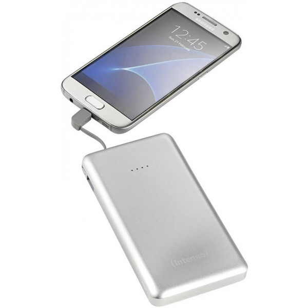 Фото - Батарея мобільна Intenso Powerbank S10000 10000mAh Silver