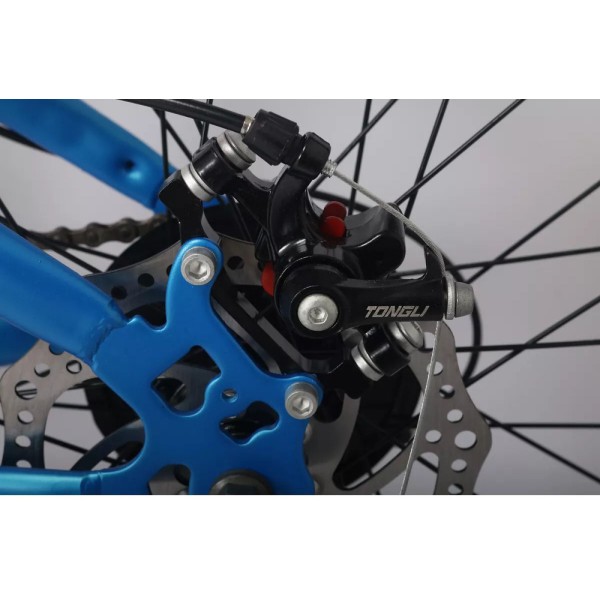 Фото - Двоколісний велосипед Forte BRAVES МТВ 29"/19" Blue