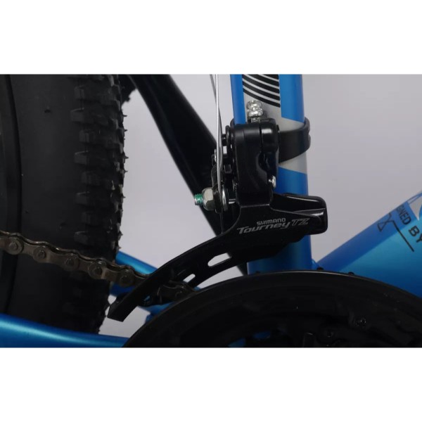 Фото - Двоколісний велосипед Forte BRAVES МТВ 29"/19" Blue