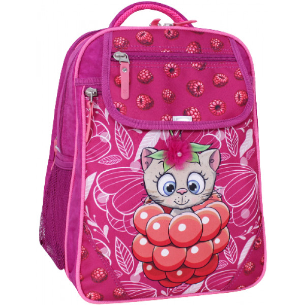 Фото - Рюкзак шкільний Bagland Відмінник 20 л. 0058070 143 Малина 899