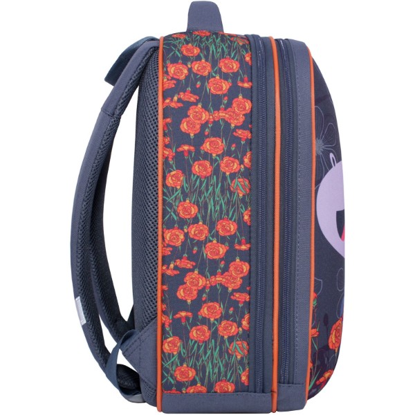 Фото - Рюкзак школьный Bagland Turtle 17 л 0013466 321 Серый 499