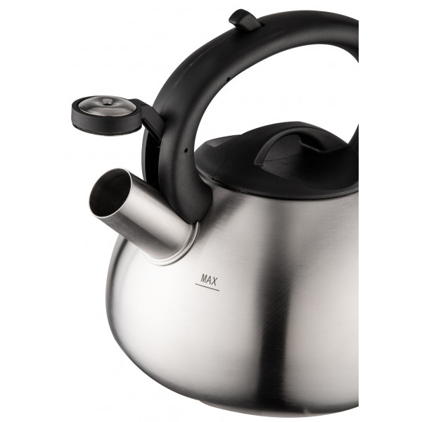 Фото - Чайник металлический Tefal C7921024 2.5 л