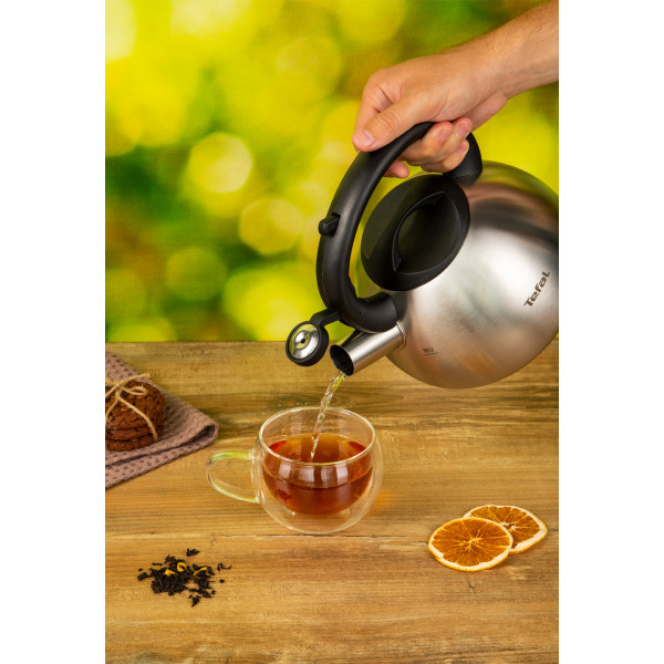 Фото - Чайник металлический Tefal C7921024 2.5 л