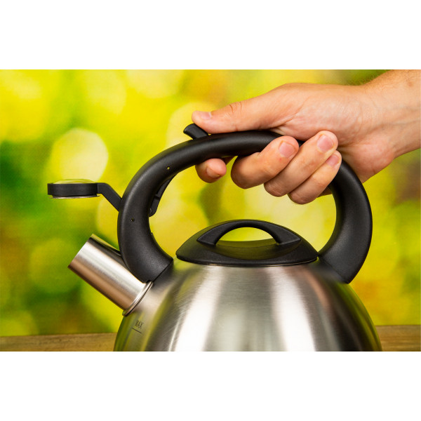 Фото - Чайник металлический Tefal C7921024 2.5 л