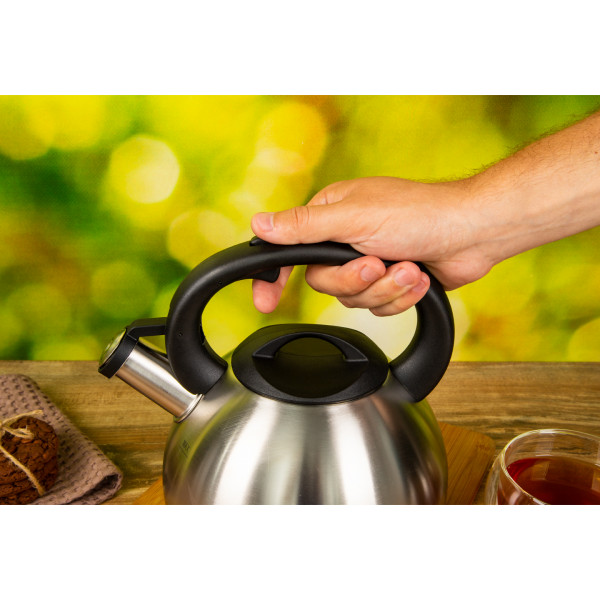 Фото - Чайник металлический Tefal C7921024 2.5 л