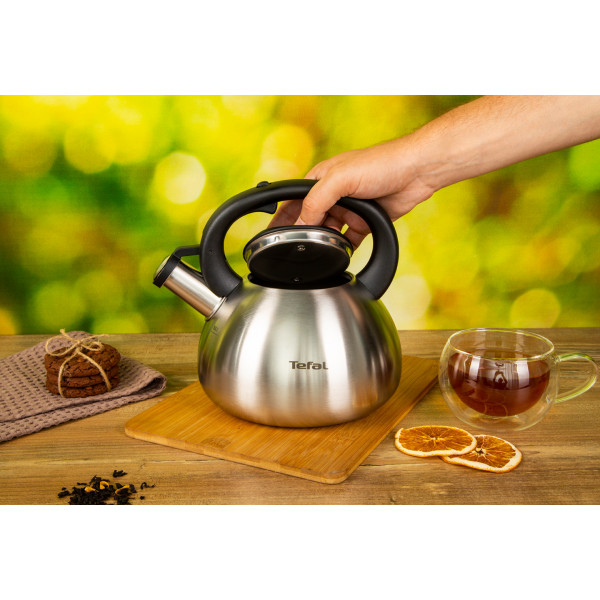 Фото - Чайник металлический Tefal C7921024 2.5 л