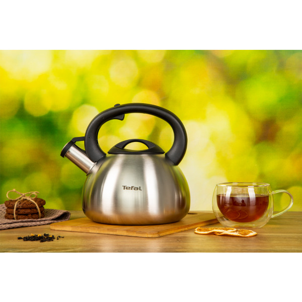 Фото - Чайник металлический Tefal C7921024 2.5 л