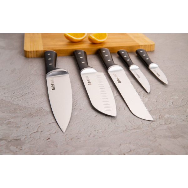 Фото - Набір ножів Tefal K232S574 Ice Force 6 пр