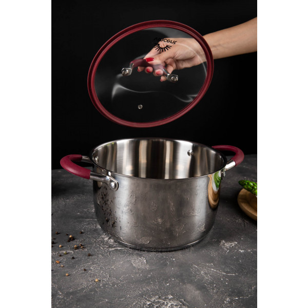 Фото - Кастрюля Vincent 5,6 л (VC-3187-24)