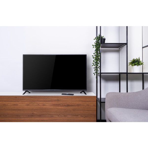 Фото - Телевизор Ergo 40GFS5500